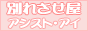 �A�V�X�g�A�C�o�i�[